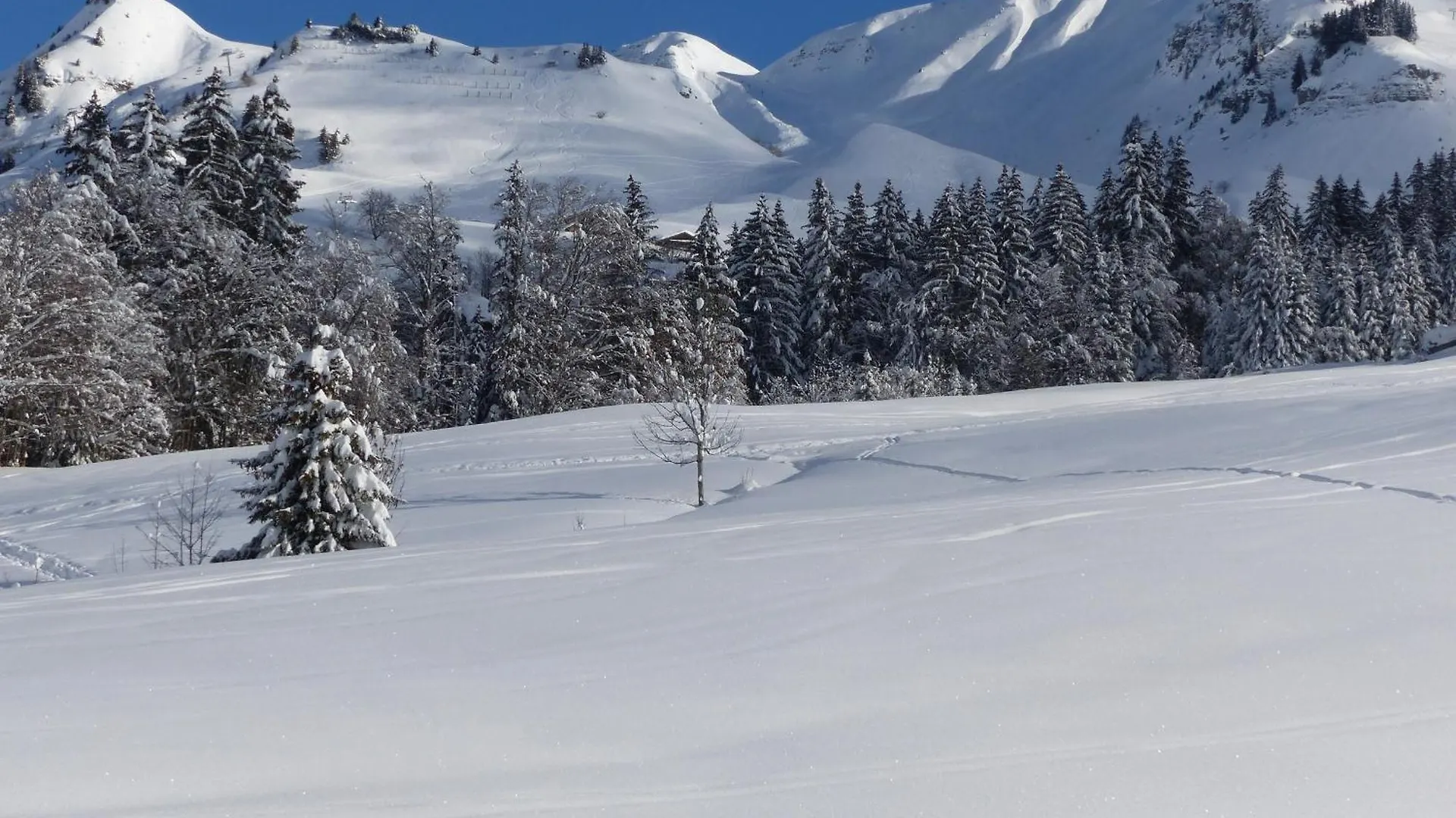 Daire Appartement 4* Pour 10 Pers. Avec Cheminee Et Bain Norvegien, Proche Pistes - Le Grand-Bornand - Fr-1-467-100